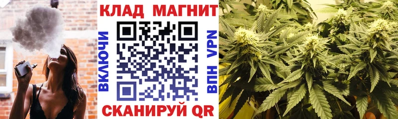 Купить наркотики Нестеров Галлюциногенные грибы  OMG   COCAIN  Гашиш  Мефедрон  Марихуана  Амфетамин  СК 