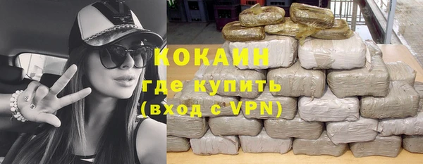дживик Ветлуга