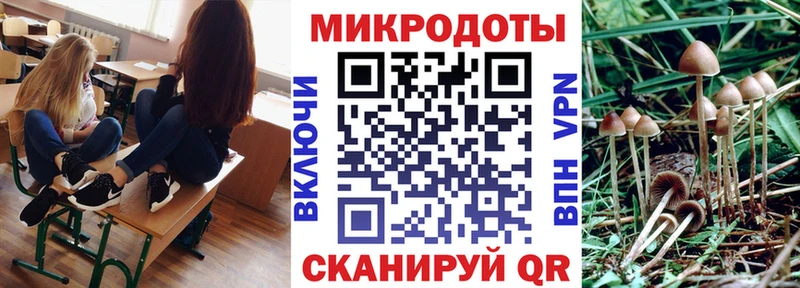 Псилоцибиновые грибы ЛСД  магазин продажи наркотиков  Нестеров 